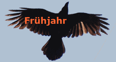 Frhjahr