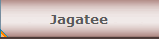 Jagatee