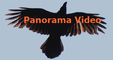 Panorama Video