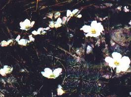 Bursers Steinbruck