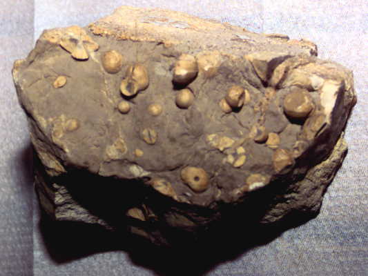 Ablagerungen
